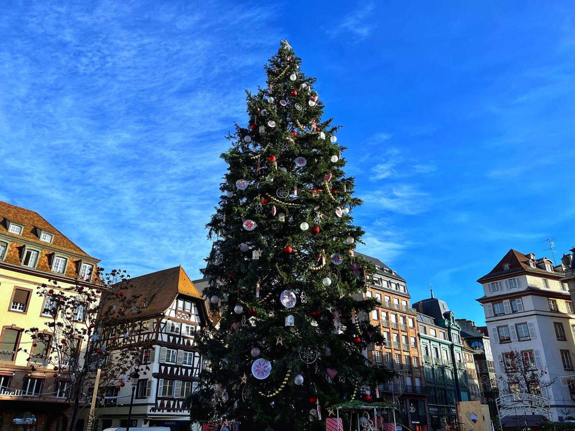 Appartement Les Jardiniers Strasbourg